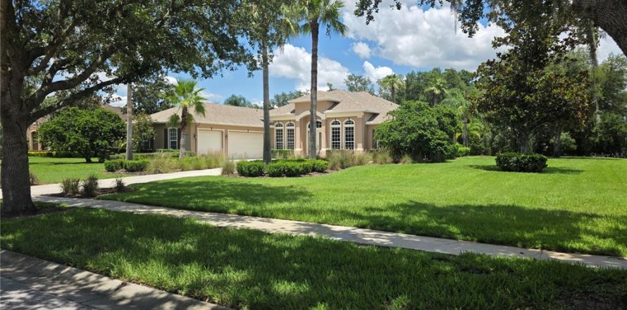 House in Lutz, Florida 4 bedrooms, 322.74 sq.m. № 1819118