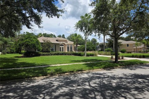 House in Lutz, Florida 4 bedrooms, 322.74 sq.m. № 1819118 - photo 4