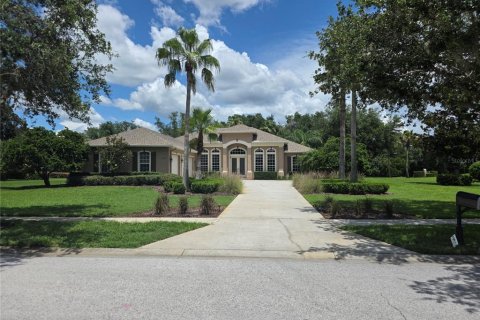 House in Lutz, Florida 4 bedrooms, 322.74 sq.m. № 1819118 - photo 7