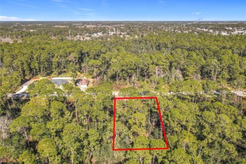 Land in Deltona, Florida № 1534791 - photo 3