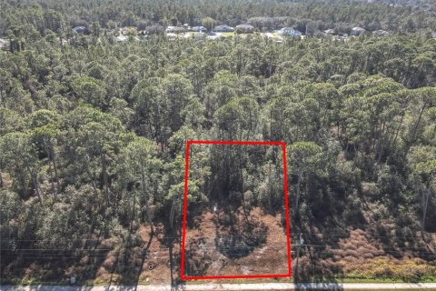 Land in Deltona, Florida № 1534791 - photo 2