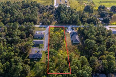 Land in Ocala, Florida № 2012469 - photo 6