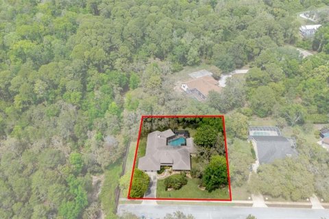 Casa en venta en Spring Hill, Florida, 6 dormitorios, 315.4 m2 № 1723641 - foto 6