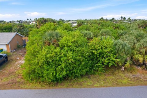 Land in Port Charlotte, Florida № 2233824