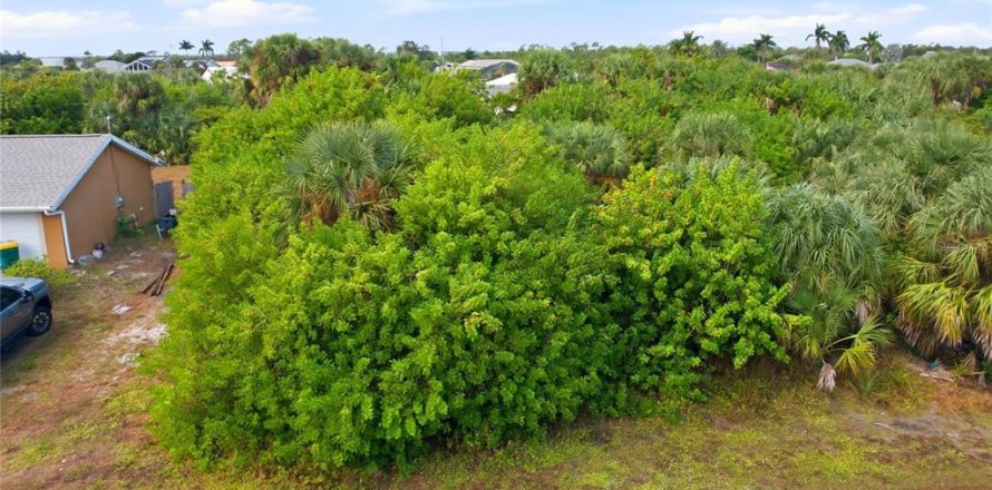 Terrain à Port Charlotte, Floride № 2233824