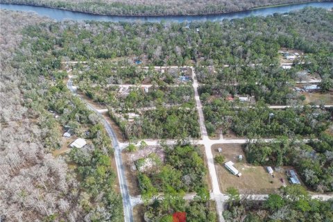 Land in Old Town, Florida № 2163919 - photo 9