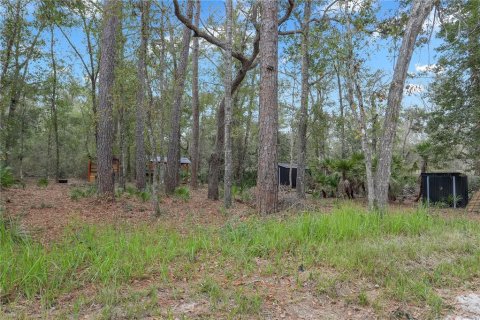 Land in Old Town, Florida № 2163919 - photo 8