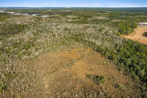 Terrain à vendre à Homosassa, Floride № 2234404 - photo 22