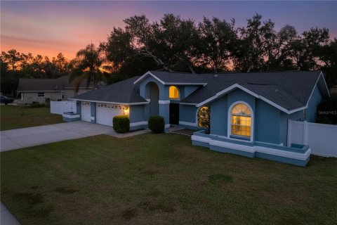 Villa ou maison à vendre à Hudson, Floride: 3 chambres, 189.33 m2 № 2148225 - photo 11