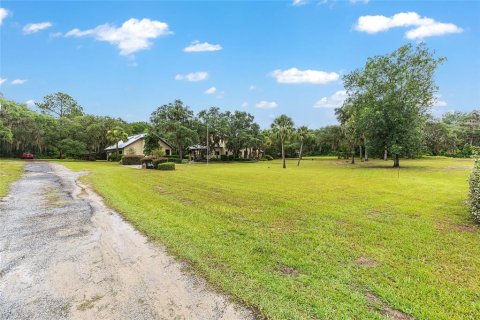 Villa ou maison à vendre à Salt Springs, Floride: 3 chambres, 456.24 m2 № 1866269 - photo 26