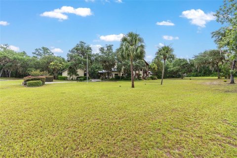 Villa ou maison à vendre à Salt Springs, Floride: 3 chambres, 456.24 m2 № 1866269 - photo 4