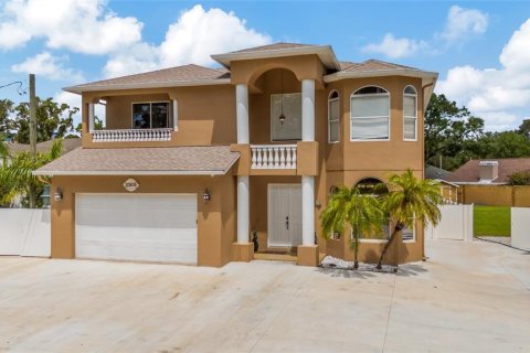 Casa en Tampa, Florida 5 dormitorios, 355.26 m2 № 2289877