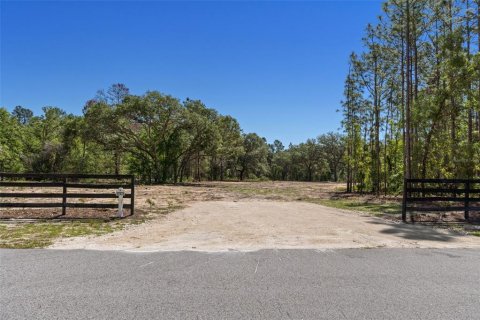 Terrain à vendre à Wildwood, Floride № 2102809 - photo 19