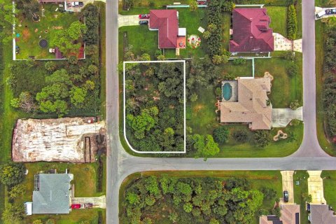 Land in North Port, Florida № 2164338 - photo 2