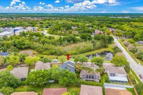 Villa ou maison à louer à Tampa, Floride: 4 chambres, 233.09 m2 № 2107180 - photo 26