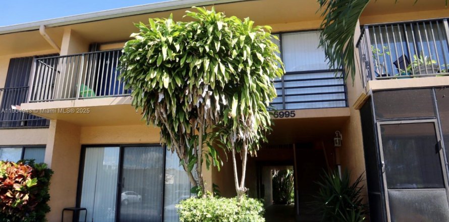 Condo in Hollywood, Florida, 1 bedroom  № 2035734