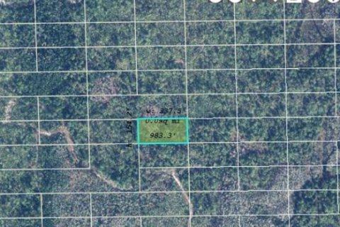 Land in Orlando, Florida № 2218798 - photo 3