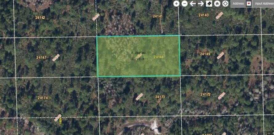 Land in Orlando, Florida № 2218798