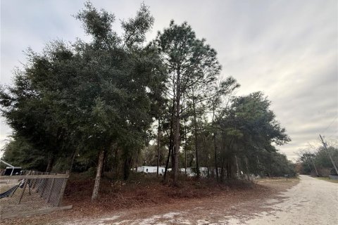 Land in Summerfield, Florida № 2165297 - photo 3