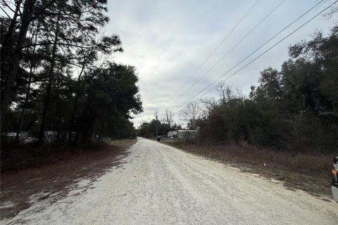 Land in Summerfield, Florida № 2165297 - photo 4