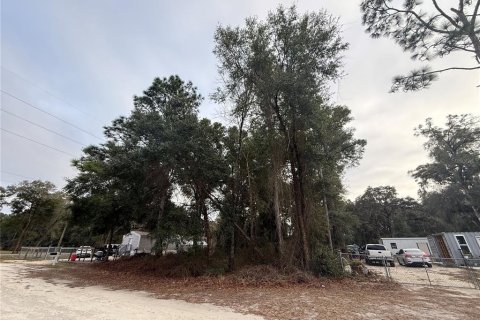 Land in Summerfield, Florida № 2165297 - photo 2