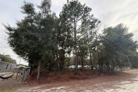 Land in Summerfield, Florida № 2165297