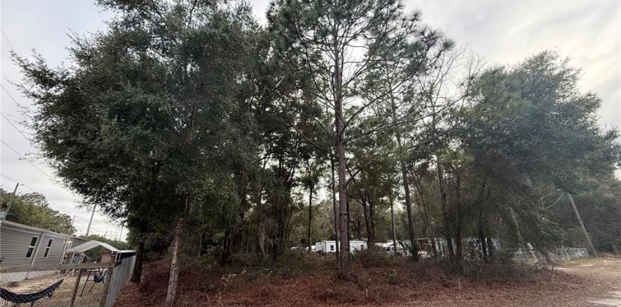 Land in Summerfield, Florida № 2165297