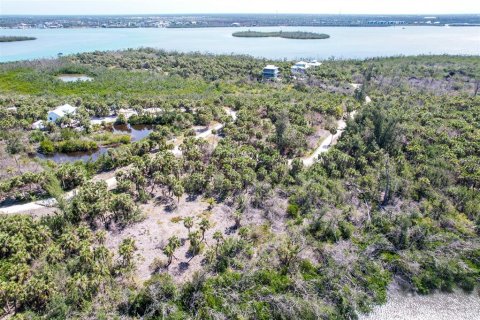 Terreno en venta en Placida, Florida № 1658093 - foto 4