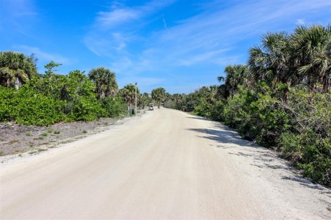 Terreno en venta en Placida, Florida № 1658093 - foto 7