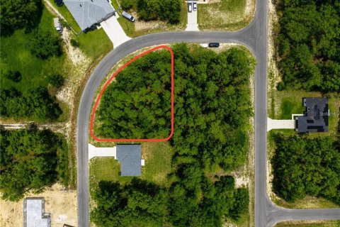 Land in Ocala, Florida № 2218510