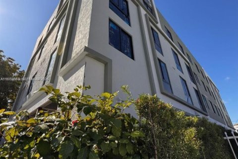 Studio in Miami, Florida № 2032707