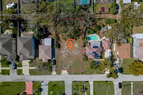 Land in Tampa, Florida № 1565223 - photo 1