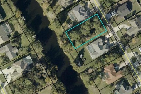 Land in Palm Coast, Florida № 2378974