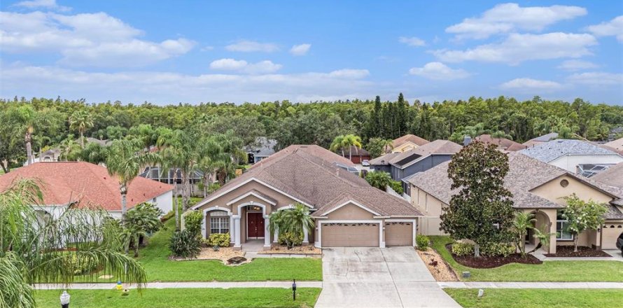 House in Tampa, Florida 4 bedrooms, 270.07 sq.m. № 1837679