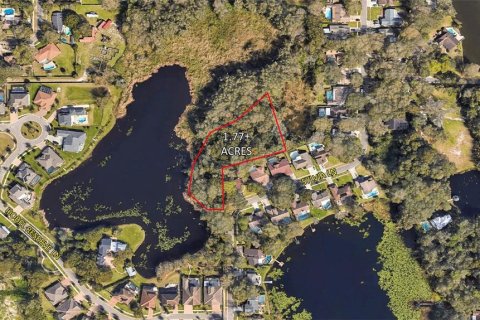 Land in Tampa, Florida № 1218353 - photo 1