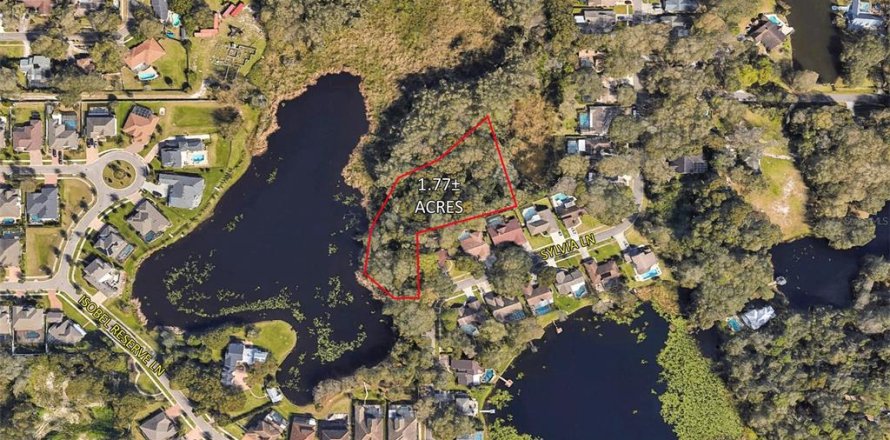 Land in Tampa, Florida № 1218353
