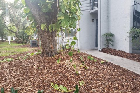 Condominio en Tampa, Florida, 1 dormitorio № 2104728
