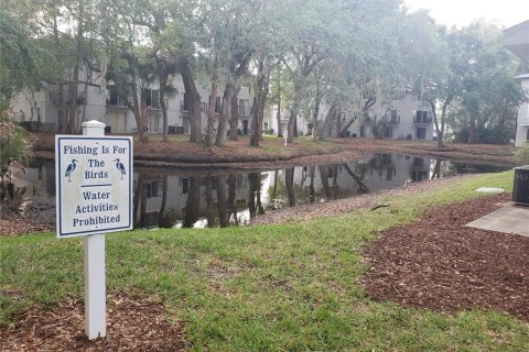 Condominio en alquiler en Tampa, Florida, 1 dormitorio, 46.82 m2 № 2104728 - foto 11