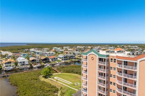 Copropriété à vendre à New Port Richey, Floride: 2 chambres, 119.19 m2 № 2094292 - photo 2