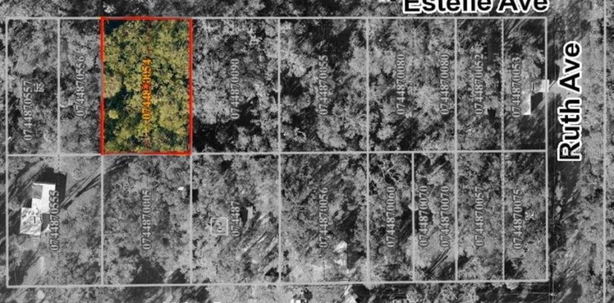 Land in Brandon, Florida № 1824243