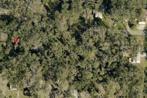 Land in Brandon, Florida № 1824243 - photo 2