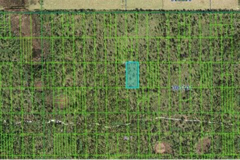 Land in Lake Wales, Florida № 2158945 - photo 3