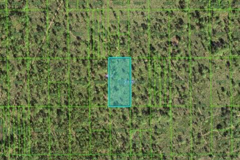 Land in Lake Wales, Florida № 2158945