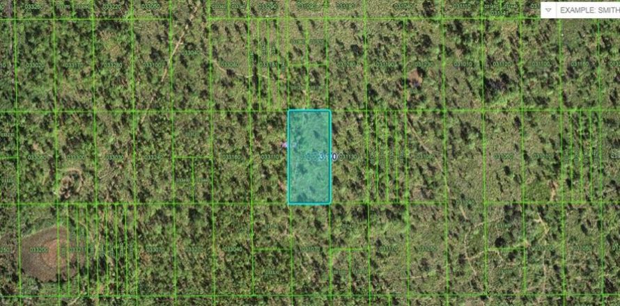 Land in Lake Wales, Florida № 2158945