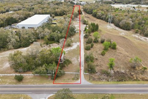 Immobilier commercial à Sorrento, Floride 241.92 m2 № 2330451