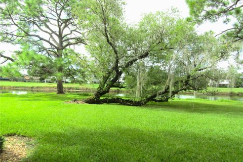 Copropriété à louer à Sarasota, Floride: 2 chambres, 99.31 m2 № 2384016 - photo 22