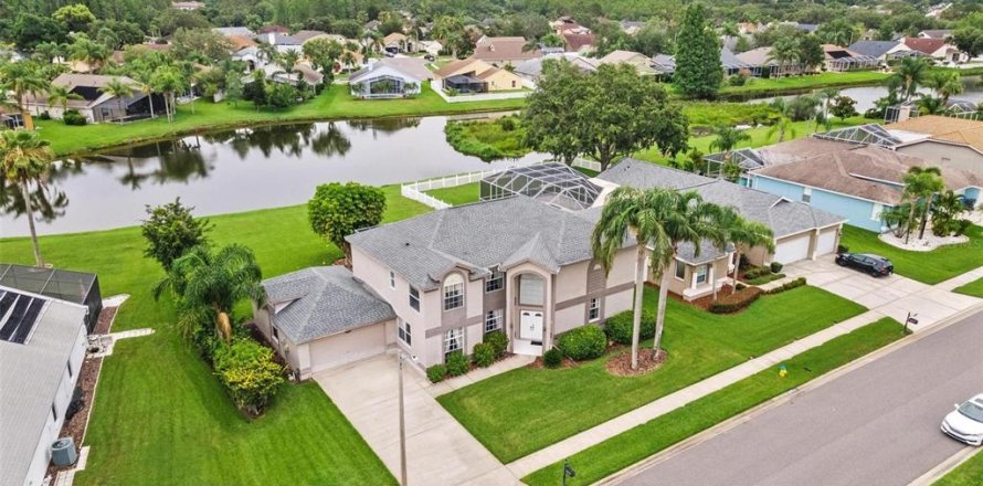 House in Lutz, Florida 4 bedrooms, 313.64 sq.m. № 1769155