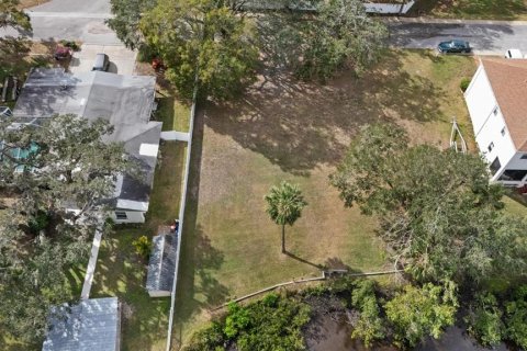 Terreno en venta en New Port Richey, Florida № 1562205 - foto 9