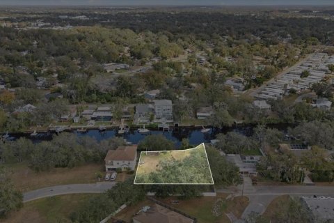 Terreno en venta en New Port Richey, Florida № 1562205 - foto 3