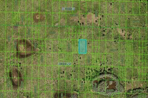 Land in Frostproof, Florida № 2163773 - photo 2